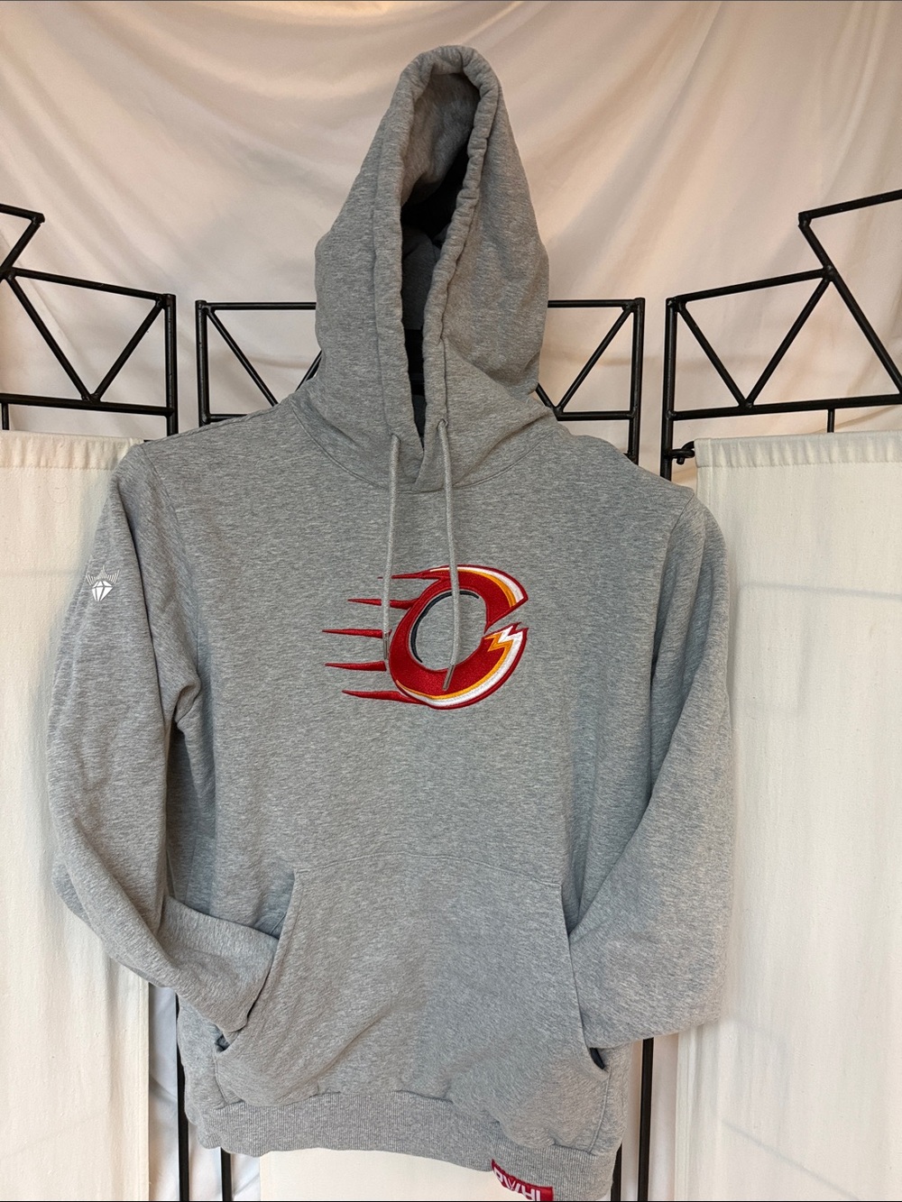 Pwhl team Charge hoodie